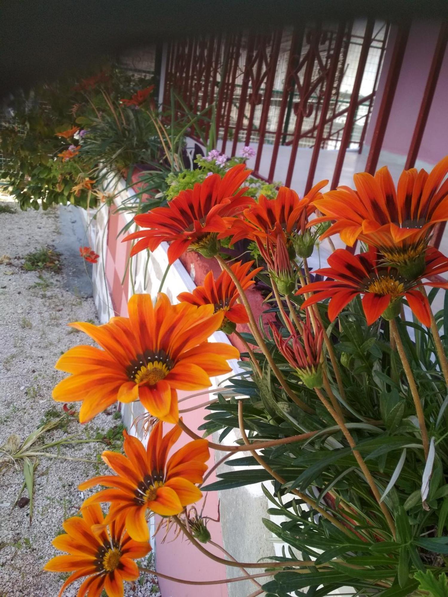 Tasia Studios Perivólion Dış mekan fotoğraf